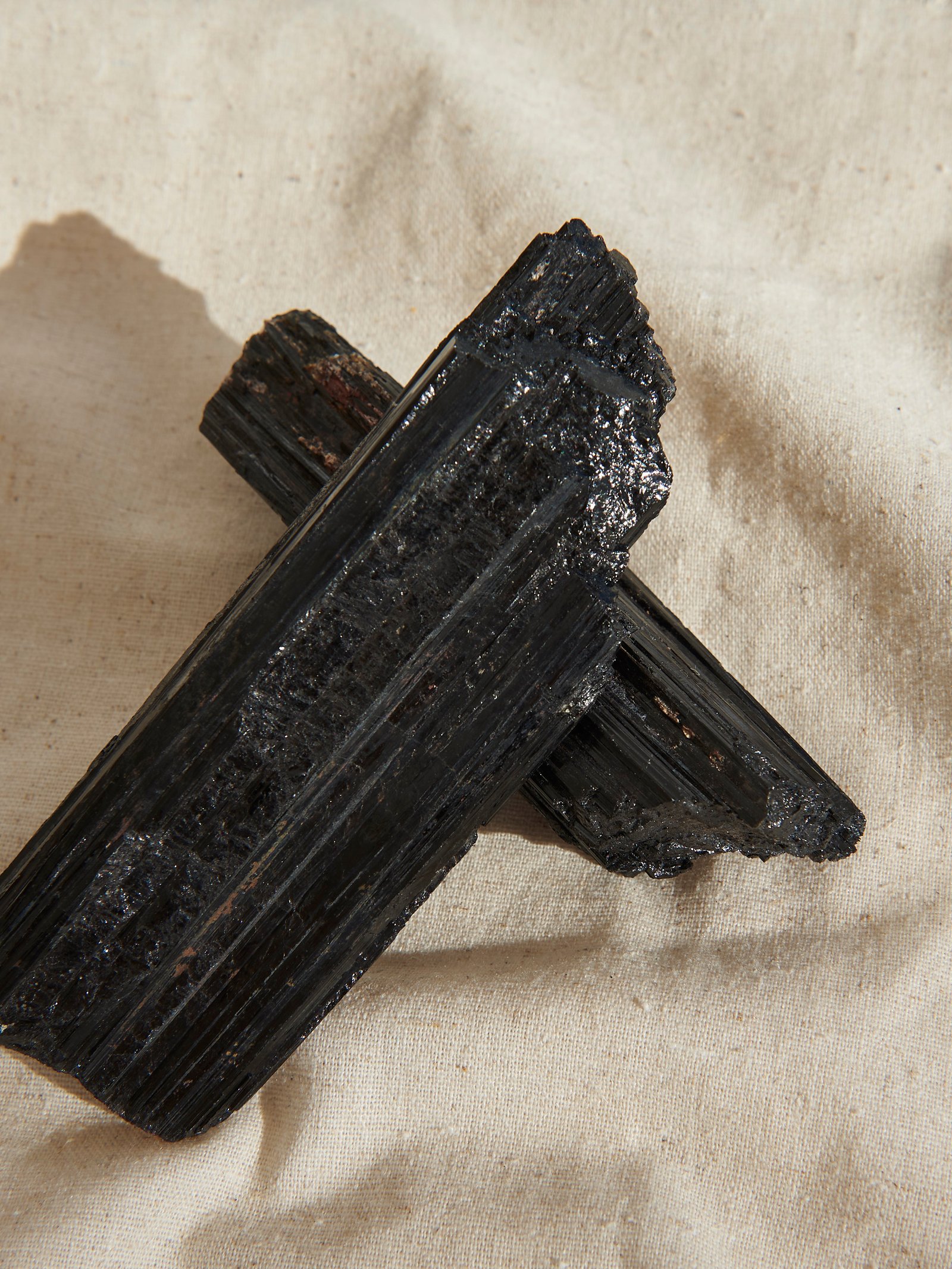 Sara Simal 18 Octubre12837