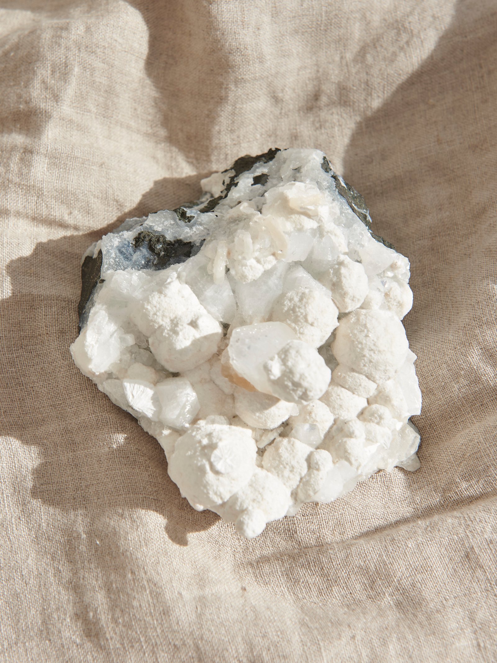 Sara Simal 18 Octubre12880