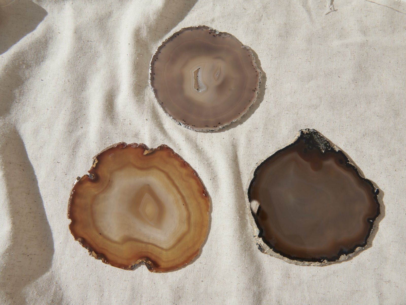 Sara Simal 18 Octubre12978